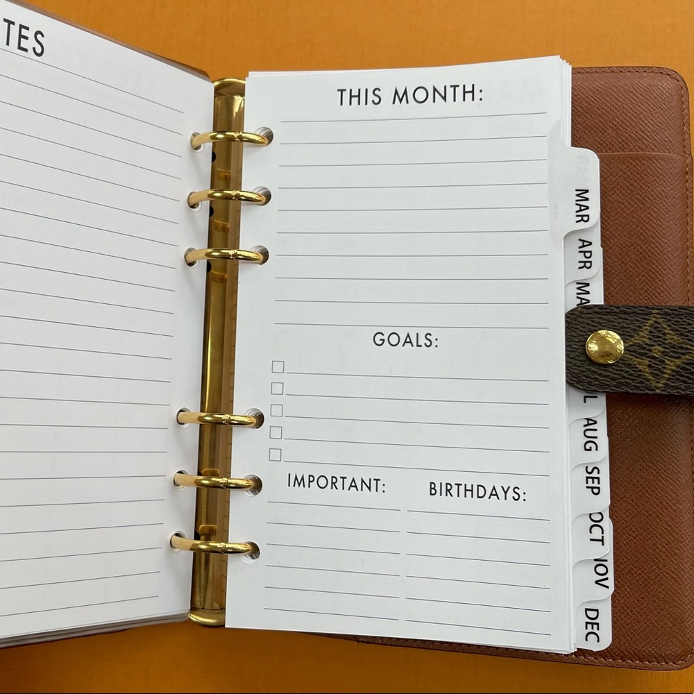 🧩2025 Inserts ALL SIZES Avail: Fits Louis Vuitton PM/MM/GM2022 Refill Calendars - Picture 14 of 16